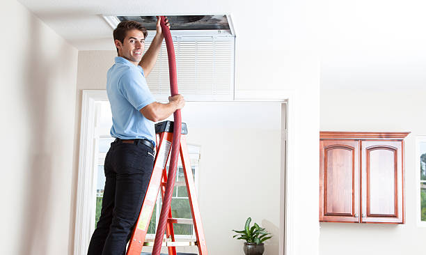 Best Air Vent Cleaning Services  in Boone, IA